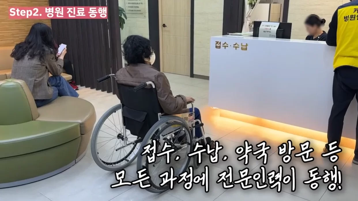 어르신병원동행가능