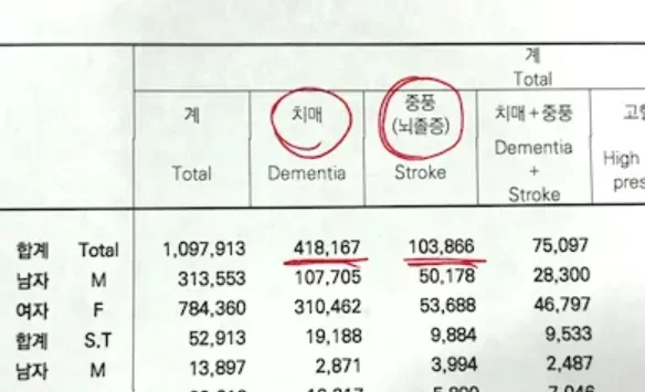 2023년 노인장기요양보험 통계 — 치매 41만명·중풍 10만명 등 등급 인정자 주요 질환 분포 표