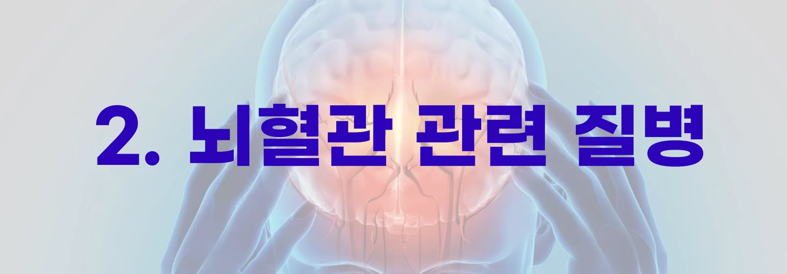 2. 뇌혈관 관련 질병 섹션 헤더 배너