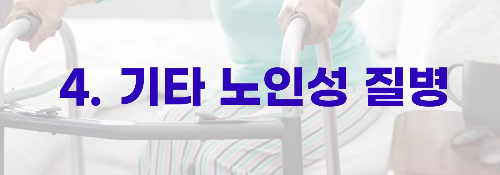 4. 기타 노인성 질병 섹션 헤더 배너