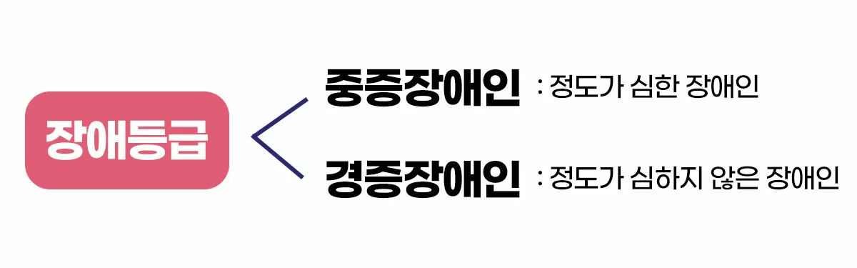 장애등급을 중증과 경증 장애인으로 나눈 분류