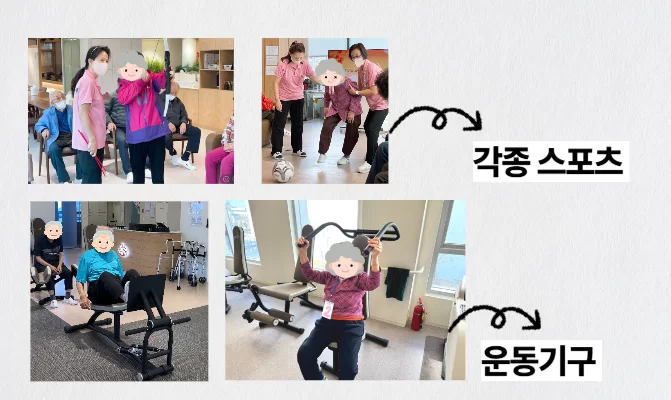 각종 스포츠와 운동기구를 활용한 신체프로그램