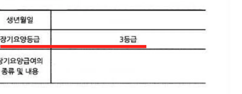 장기요양등급 3등급이 표기된 이용계획서