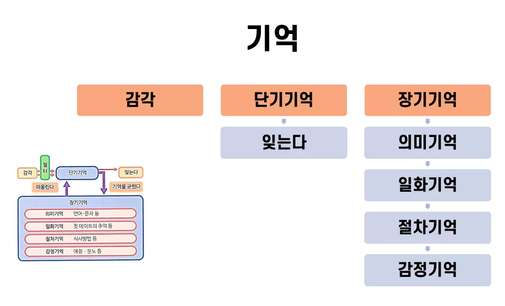 감각·단기기억·장기기억으로 나뉜 기억 분류 도식