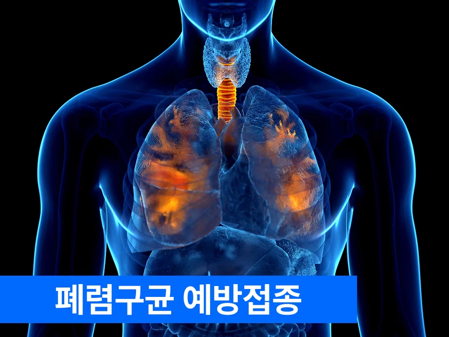 폐렴구균 예방접종을 안내하는 폐 그래픽