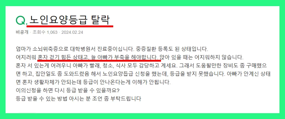 노인요양등급 탈락을 문의한 지식인 질문 화면