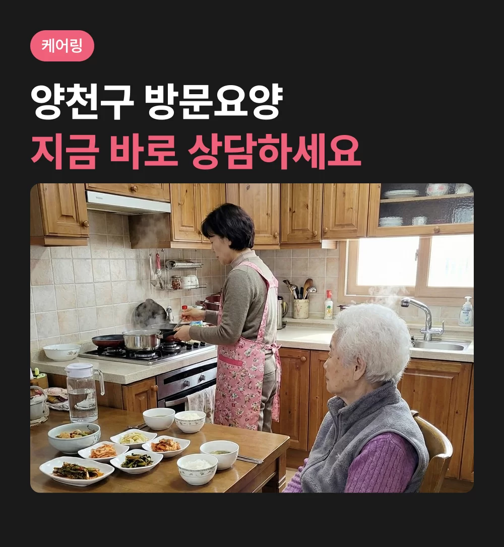 강서구 방문요양 케어링 상담하기, 부엌에서 어르신 식사를 준비하고 있는 요양보호사의 모습