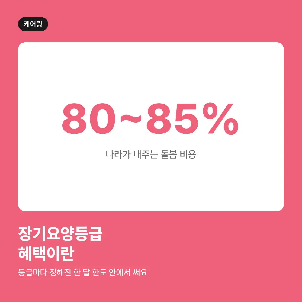 돌봄 비용 80~85%를 지원하는 장기요양등급