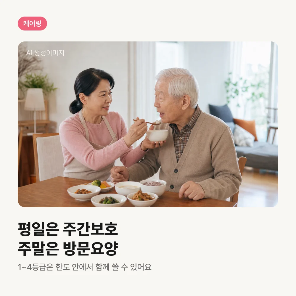 집에서 어르신 식사를 돕는 요양보호사